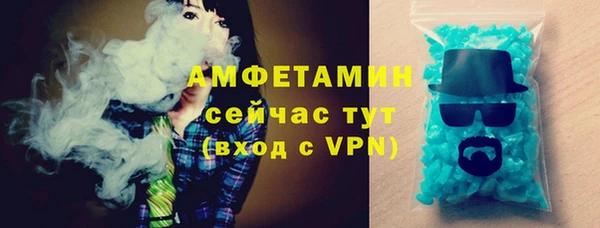 гашик Карпинск