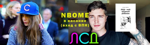 гашик Карпинск