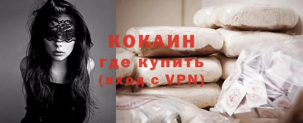гашик Карпинск
