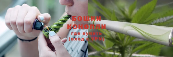соль ск Касимов