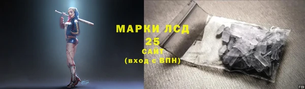 гашик Карпинск