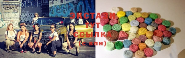 гашик Карпинск