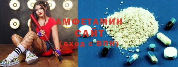 гашик Карпинск