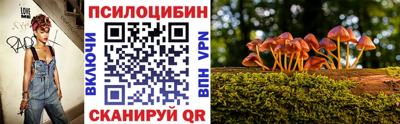 Купить закладки  Тосно  Галлюциногенные грибы Cubensis 